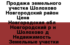 Продажа земельного участка Шолохово, Новгородский район › Цена ­ 300 000 - Новгородская обл., Новгородский р-н, Шолохово д. Недвижимость » Земельные участки продажа   . Новгородская обл.